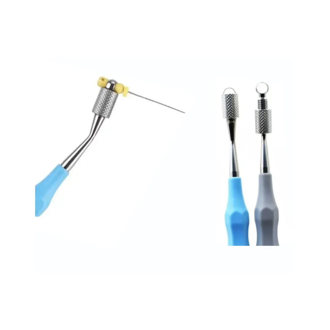 Endo File Holder Shop4Smile Delivering Dentistry